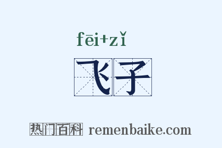 飞子是什么意思的图片